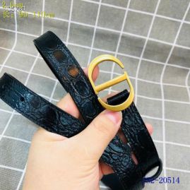 Picture of Dior Belts _SKUDiorBelt20mmX95-110cm7d101168